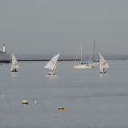 Stony Brook Sailing Club to Compete in Club Champs